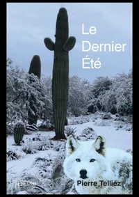 Le dernier été Tome 1