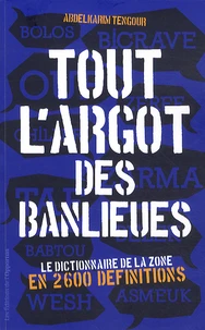 Tout l'argot des banlieues