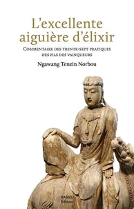 L'excellente aiguière d'élixir