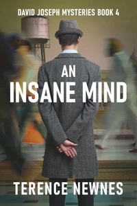 An Insane Mind