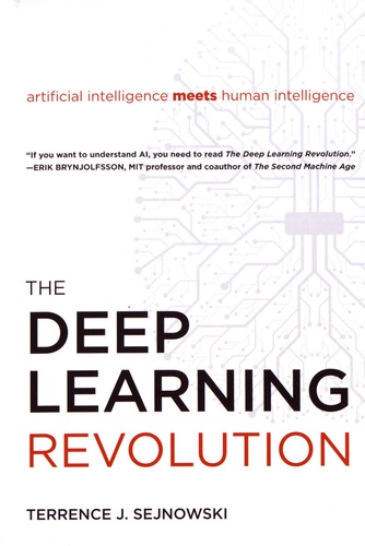 Terrence Sejnowski - The Deep Learning Revolution.