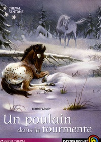 Terri Farley - Cheval fantôme Tome 5 : Un poulain dans la tourmente.