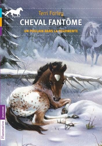 Terri Farley - Cheval fantôme Tome 5 : Un poulain dans la tourmente.