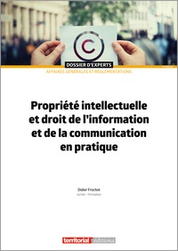 Didier Frochot - Propriété intellectuelle et droit de l'information et de la communication en pratique.