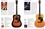 Guitares, l'encyclopédie ultime. Fender, Gibson, Gretsch, Martin, Rickenbacker...