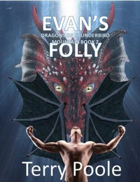 Evan's Folly