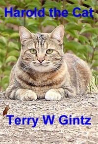  Terry W. Gintz - Harold the Cat.