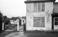 Solomon's Antiques and Curiosities