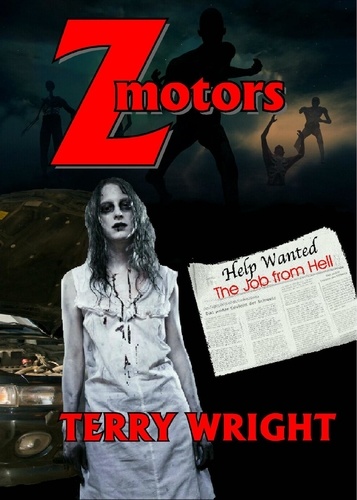  Terry Wright - Z-motors.