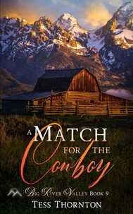 A Match for the Cowboy: Big River Valley Book 9