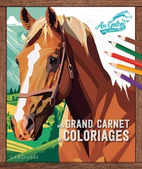 Mon grand carnet de coloriages Au galop !