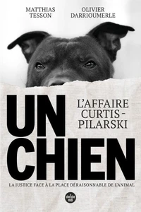 Un chien