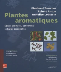 Plantes aromatiques