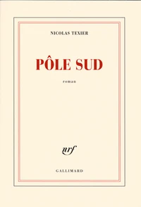 Pôle sud