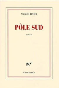 Pôle sud