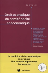 Droit et pratique du comité social et économique