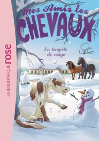 La tempête de neige