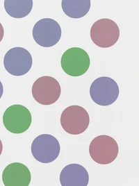 Bridget Riley