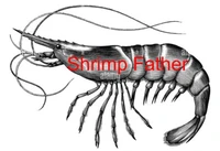 Shrimp Father