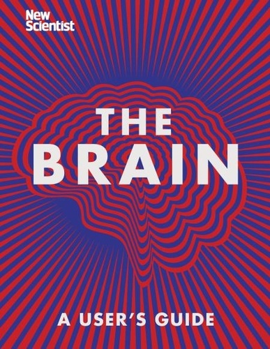 The Brain. Everything You Need to Know