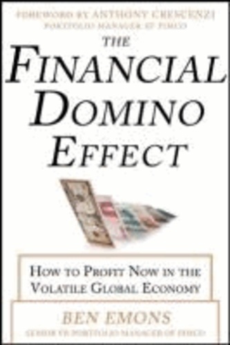 The Financial Domino Effect:  How to Profit Now in the Volatile Global Economy.