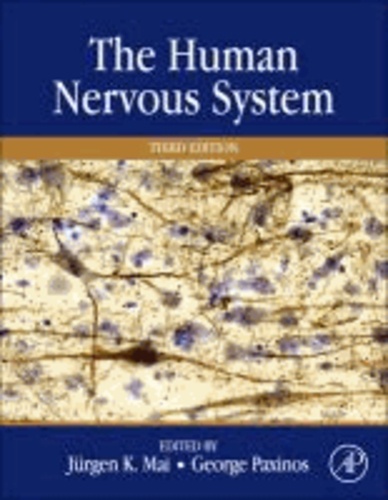 The Human Nervous System.