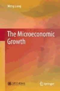 The Microeconomic Growth.