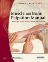 The Muscle and Bone Palpation Manual with Trigger Points, Referral Patterns and Stretching.