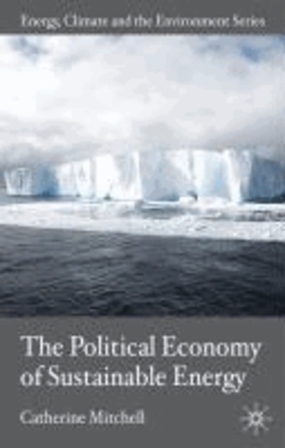 The Political Economy of Sustainable Energy.