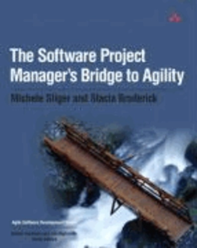 The Software Project Manager's Bridge to Agility.