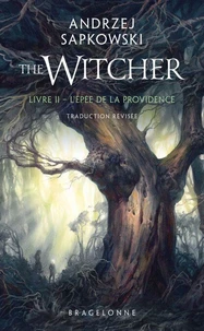 The Witcher : L'Épée de la providence