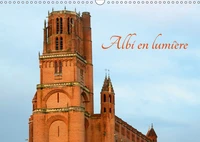 Albi en lumière (Calendrier mural 2017 DIN A3 horizontal)