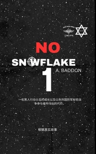 No Snowflake 1-  Chinese