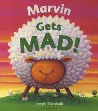 Marvin gets mad !