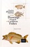 Charles Plumier (1646-1704) et ses dessins de poissons de France et des Antilles