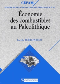 Economie des combustibles au Paléolithique