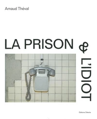 La prison et l'idiot