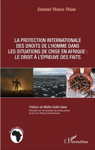 La protection internationale des droits de l'homme dans les situations de crise en Afrique : le droit à l'épreuve des faits