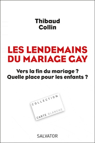 Thibaud Collin - Les lendemains du mariage gay - Vers la fin du mariage ? Quelle place pour les enfants ?.