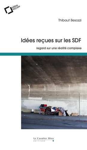 Idées reçues sur les SDF. Regard sur une réalité complexe