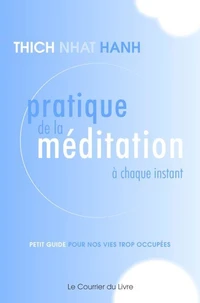 Pratique de la méditation à chaque instant