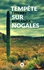 Tempête sur Nogales