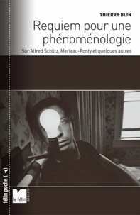 Requiem pour une phénoménologie