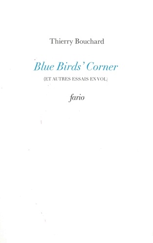 Thierry Bouchard - Blue Bird's Corner (et autres essais en vol).
