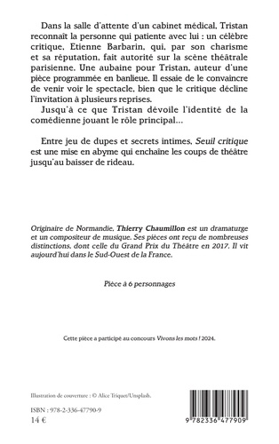 Seuil critique de Thierry Chaumillon - Grand Format - Livre - Decitre