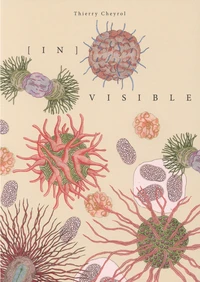 [In visibles