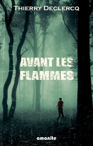 Thierry Declercq - Avant les flammes.