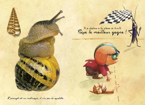 L'escargot. Petits carnets de curiosités de Magnus Philodolphe Pépin