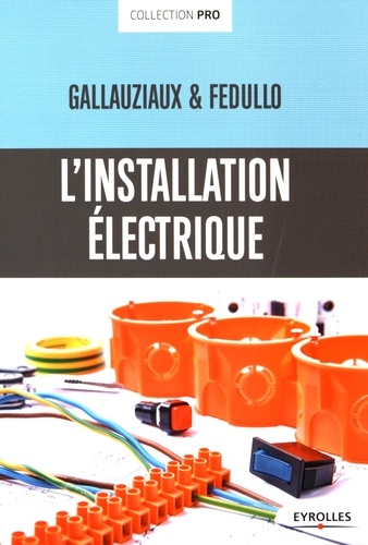 Thierry Gallauziaux et David Fedullo - L'installation électrique.