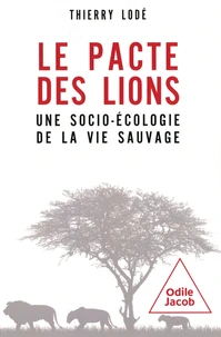 Le pacte des lions